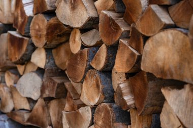 ahşap güdük doku zemin olarak tam kare