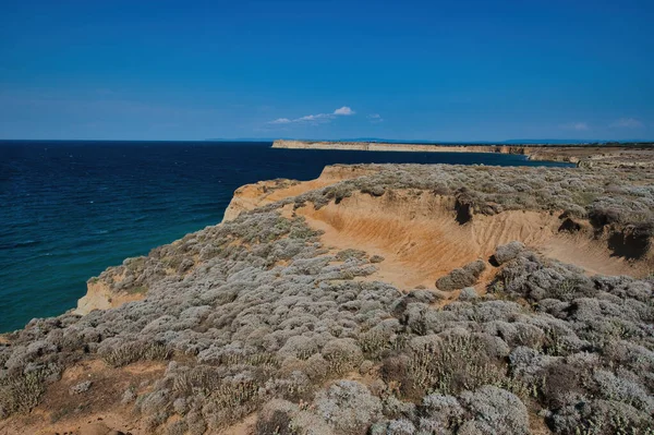 beautiful landscape with a field of wheat and blue sky in gokceada 