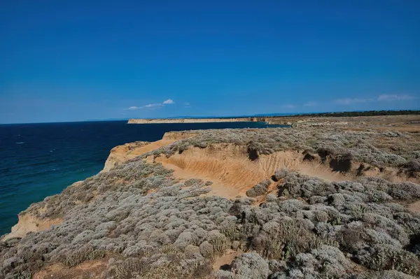 beautiful landscape with a field of wheat and blue sky in gokceada 