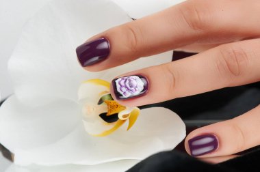 Yaz ve kış için çivi tasarımlar renkli gökkuşağı koleksiyonu