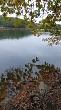 Sonbahar, gölü renkleriyle süsledi..