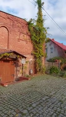 Dışarıda sonbahar çok güzel. Kedi dinleniyor ve sıcak günün tadını çıkarıyor..