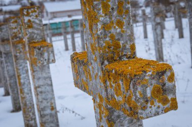 Sahada paslı metal çitler var.