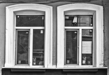 Kediler Odessa 'daki normal yaşamın ayrılmaz bir parçasıdır. Her yerde bulunabilirler. Kırmızı, siyah, farklı renkte gözleri var. İnanılmazlar..