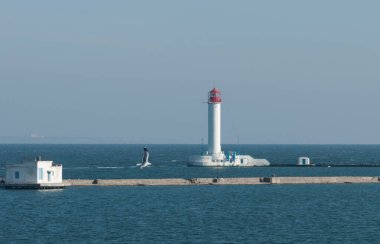 Odesa Limanı Ukrayna 'da uluslararası önemi olan önemli bir ticaret limanıdır..