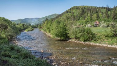 Dağ nehri dağların eriyen suyunu taşır..