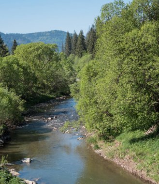 Dağ nehri dağların eriyen suyunu taşır..
