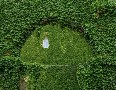 Pencereler ve balkonlar eski Odessa mimarisinin bir parçasıdır. İnanılmaz ve otantik. 2018