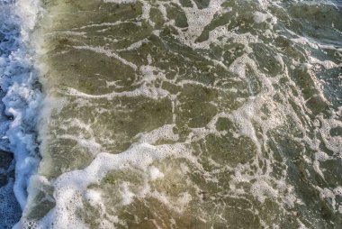 Karadeniz 'in tuzlu dalgaları.