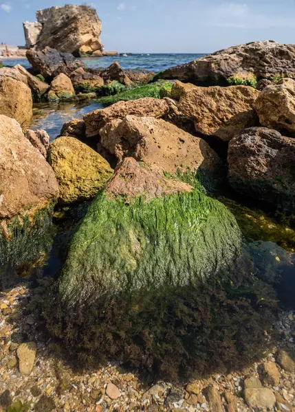 Karadeniz 'in kıyı şeridi sadece kumlu plajlardan değil, aynı zamanda kayalık yamaçlardan da oluşur..