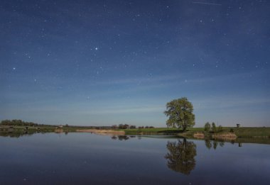 Yıldızlar ve ağaçlarla dolu güzel bir gece göğü