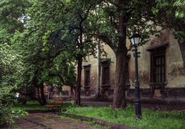 Lviv 'deki güzel Dominik Katedrali