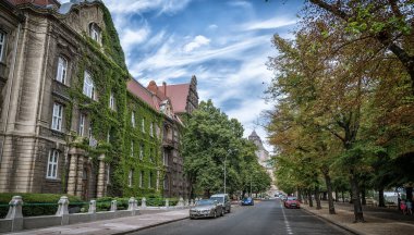 Yeşillikle kaplı eski bir bina.