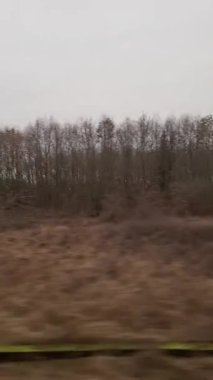 Rüzgâr santrali olan bir pencereden görüntü