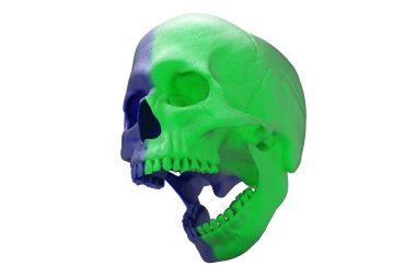 Beyaz arka planda yarı mavi yarı yeşil kafatası dolu bir kafatası izole edilmiş. Çenesiyle. Ağzını aç. Cadılar Bayramı ve Ölü Bayram Sanatı.