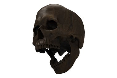 İzole edilmiş koyu ahşap desenli tahıl oyulmuş kafatası dolu beyaz arka plan. Çenesiyle. Ağzını aç. Cadılar Bayramı ve Ölü Bayram Sanatı.