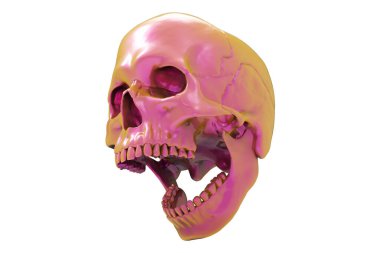 İzole edilmiş sarı pembe boyalı kafatası beyaz arka planda. Çenesiyle. Ağzını aç. Cadılar Bayramı ve Ölü Bayram Sanatı.