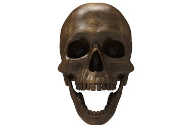 İzole olmuş Espresso koyu ahşap desenli beyaz arka planda kafatasları oyulmuş. Çenesiyle. Ağzını aç. Cadılar Bayramı ve Ölü Bayram Sanatı.