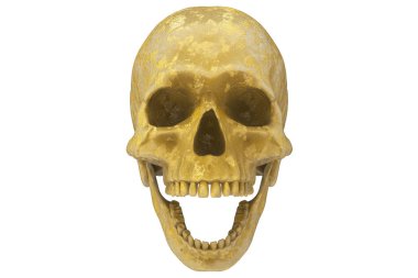 Beyaz arka planda izole edilmiş sarı oyulmuş kafatası. Çenesiyle. Ağzını aç. Cadılar Bayramı ve Ölü Bayram Sanatı.