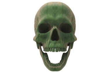 İzole edilmiş yeşil kadife kürklü kafatası beyaz arka planda. Çenesiyle. Ağzını aç. Cadılar Bayramı ve Ölü Bayram Sanatı.