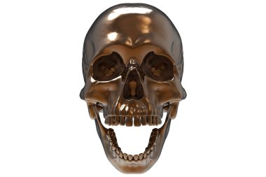 İzole edilmiş koyu bronz kaplama kafatası, beyaz arka planda. Çenesiyle. Ağzını aç. Cadılar Bayramı ve Ölü Bayram Sanatı.