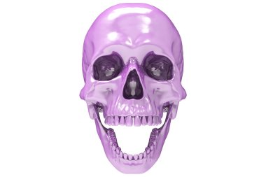 İzole edilmiş açık mor inci boyalı kafatası dolu beyaz bir arka plan. Çenesiyle. Ağzını aç. Cadılar Bayramı ve Ölü Bayram Sanatı.