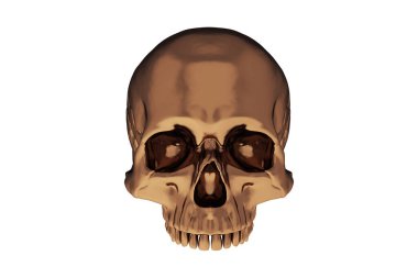 Yeni bronz metal kafatası, beyaz arka planda yarım kafatası. Çenesi yok. Cadılar Bayramı ve Ölülerin Günü.
