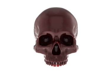 İzole edilmiş koyu kiraz kırmızısı kahverengi kafatası beyaz arka planda yarım kafatası. Çenesi yok. Cadılar Bayramı ve Ölülerin Günü.