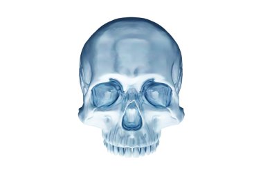 İzole edilmiş buz mavisi parlak krom kafatası beyaz arka planda. Çenesi yok. Cadılar Bayramı ve Ölülerin Günü.