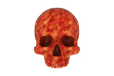 İzole edilmiş kırmızı ve turuncu uzaylı deri dokusu beyaz arka planda yarım kafatası. Çenesi yok. Cadılar Bayramı ve Ölülerin Günü.