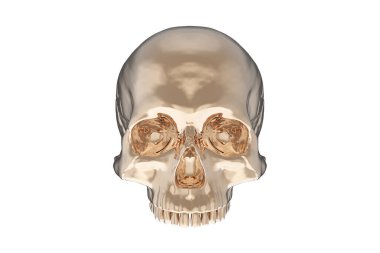 Beyaz arka planda, izole edilmiş, altın sarısı, yarım kafatası. Çenesi yok. Cadılar Bayramı ve Ölülerin Günü.