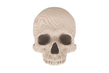 Isolated light wood texture cranium half skull on a white background. No jaw. Halloween and Day of the Dead art. clipart