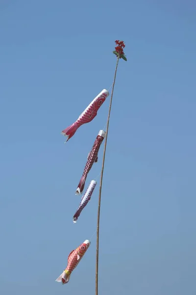 Bandeira Peixe Japonês Céu — Fotografia de Stock