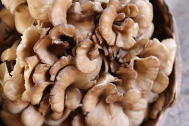 Ahşap arka planda mantarı kapat