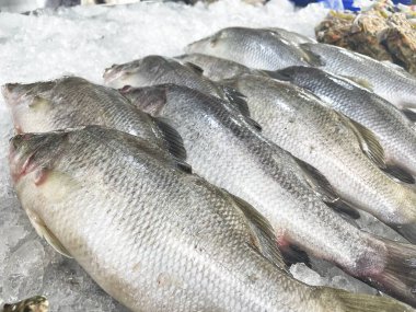 Taze çiğ balığa yakın durun.