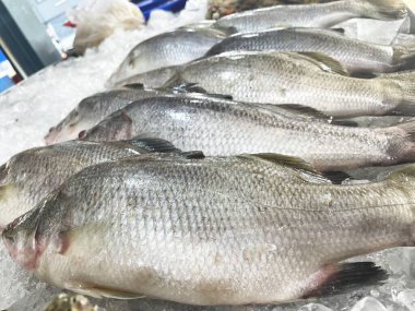 Taze çiğ balığa yakın durun.