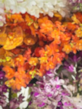 Blurred of colorful orchid flowers