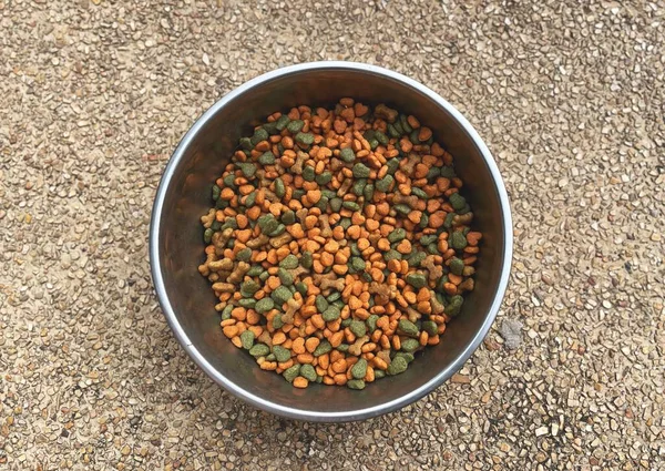 Dried Food Dog Bowl — Stock Photo, Image