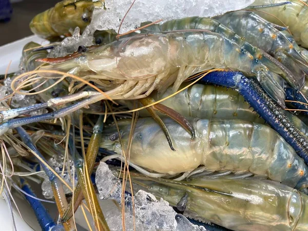 Fresh Shrimp Seafood Iced — Stock Photo, Image