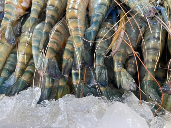 Fresh Shrimp Seafood Iced — Stock Photo, Image