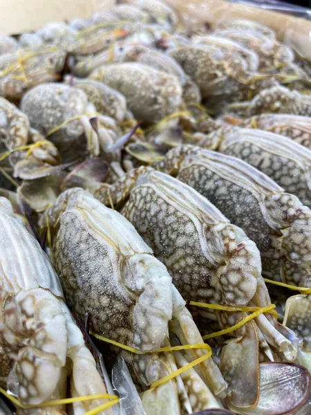Frische Krabben Rohe Meeresfrüchte — Stockfoto