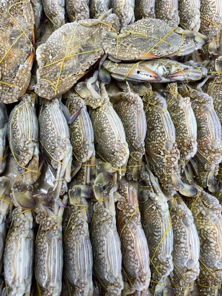 Caranguejo Fresco Alimentos Mar Crus — Fotografia de Stock