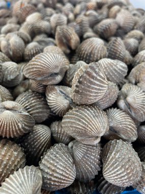 Taze çiğ midyeler deniz ürünleri.