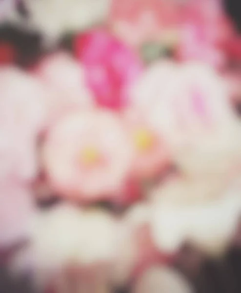 Verschwommen Von Rosa Rose Blume Hintergrund — Stockfoto