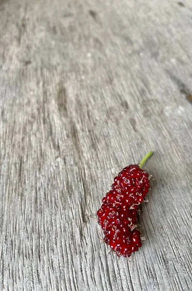 Kırmızı Dut Meyvesi Yapraklar — Stok fotoğraf
