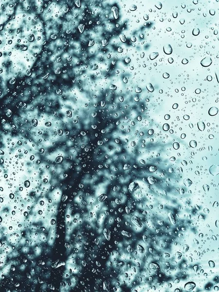 Капли Воды Фон Дерева — стоковое фото