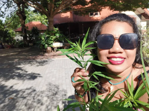 Mujer Asiática Feliz Sonrisa Tomando Fotos Hojas Marihuana Verde —  Fotos de Stock
