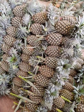 Ananas tropikal meyve arkaplanı veya dokusu