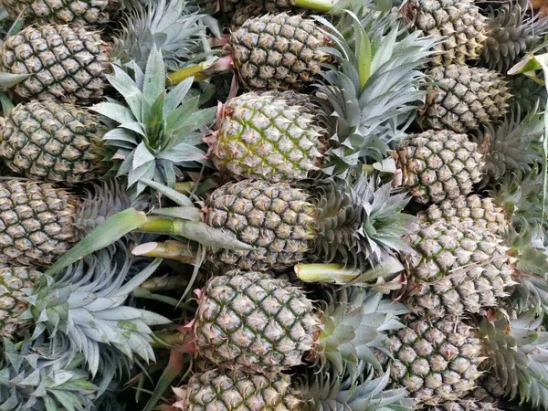 Ananász Trópusi Gyümölcs Háttér Vagy Textúra — Stock Fotó