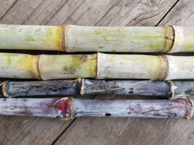 Kırmızı ve yeşil şeker konisi